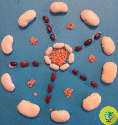 Você sabia que pode fazer mandalas que acalmam as crianças com massas, legumes e folhas?