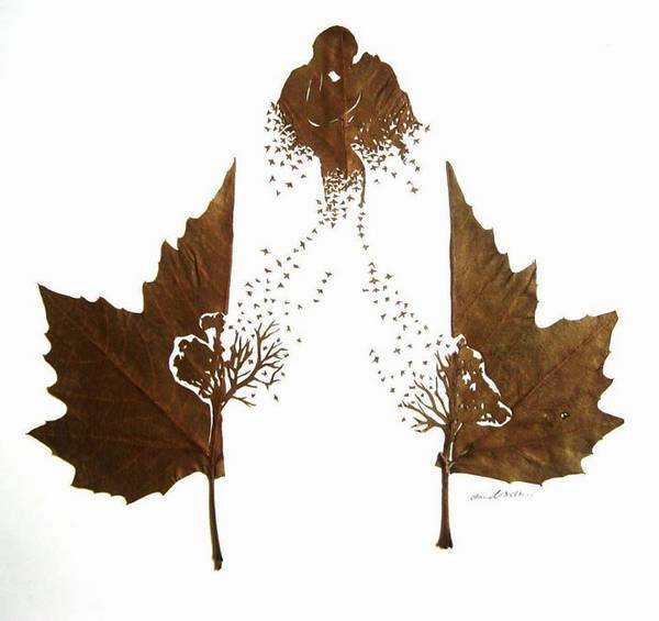 As espetaculares e intrincadas criações artísticas de folhas caídas no outono (FOTO)