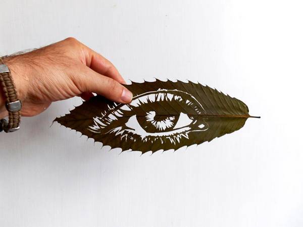 The spectacular and intricate artistic creations from fallen leaves in autumn (PHOTO)