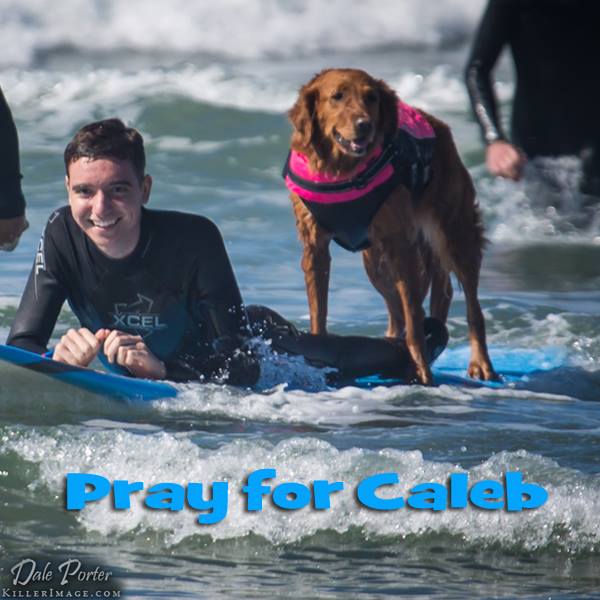 Ricochet : le chien surfeur qui a aidé Caleb, un garçon atteint d'un cancer (VIDEO)