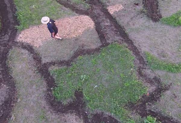 Land Art: the fantastic landscapes inspired by the works of Van Gogh (PHOTO and VIDEO)