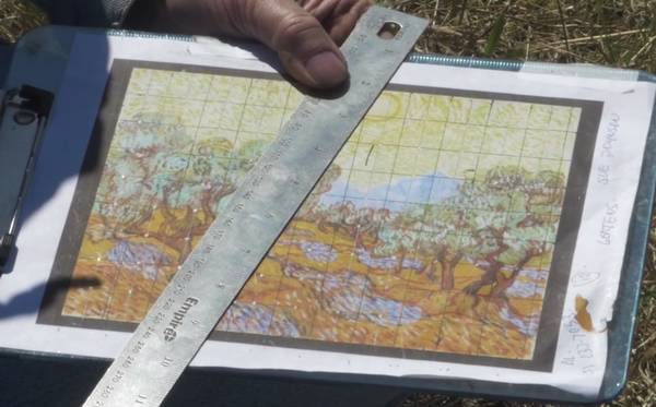 Land Art: los fantásticos paisajes inspirados en las obras de Van Gogh (FOTO y VÍDEO)