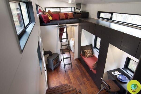 Goodbye bills and mortgage! The off-grid micro-house built in 4 months with 33 thousand dollars