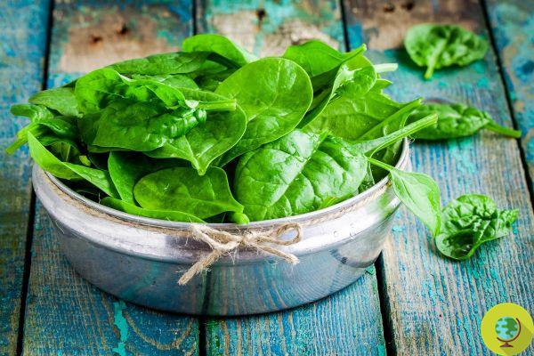 Spring fatigue: 5 foods (plus 1) useful against the sense of weakness typical of this period