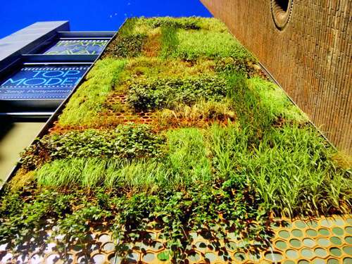 Um novo jardim vertical auto-suficiente no Teatro Raval em Barcelona