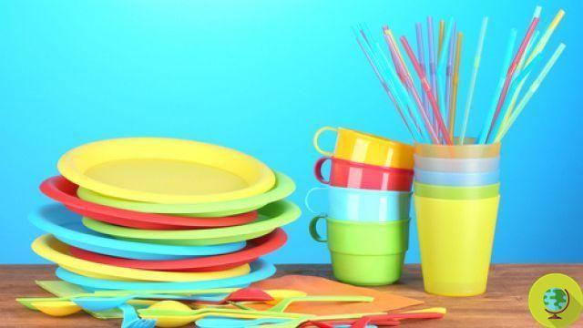 Plastic dishes: be careful to use them with hot food