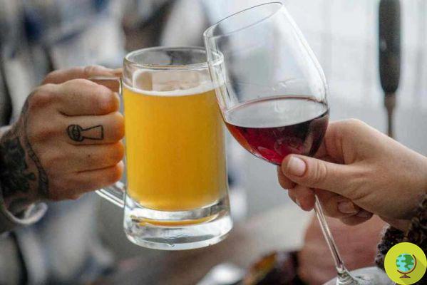 Melhor vinho ou cerveja? Cientistas comparam os efeitos colaterais das bebidas alcoólicas na gordura visceral e na sua saúde