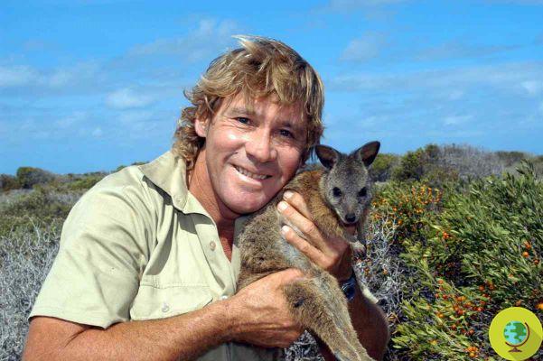 The Australian naturalist who with his family saved thousands of endangered animals