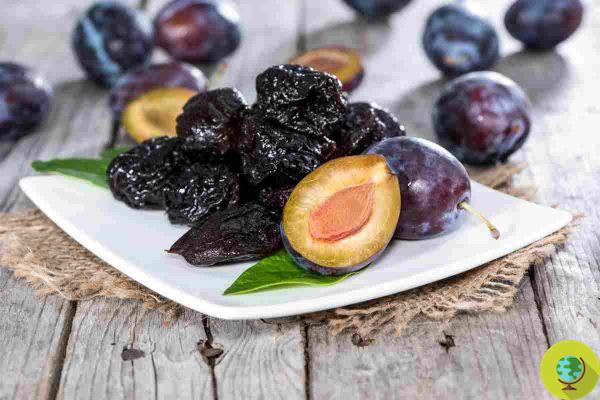Plums: not just jam! Tricks and recipes to preserve and enjoy them all year round