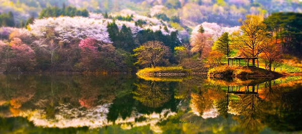 Las fotos surrealistas de Jaewoon U con los reflejos de los paisajes