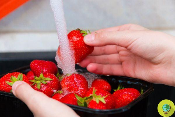 Pesticidas en fresas: no basta con enjuagar, estos son los mejores y más efectivos métodos para eliminarlos