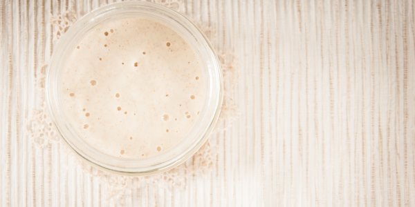 Sourdough: everything you need to know about sourdough