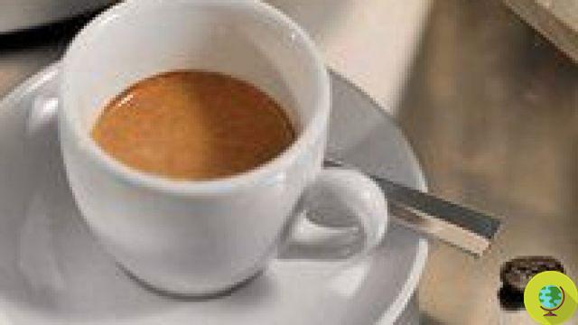 Coffee: a cup a day reduces the risk of stroke for women