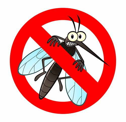 Ledum Palustre funciona? É realmente o melhor remédio para mosquitos?