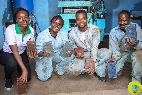 La startup de cette femme kenyane transforme des tonnes de plastique en briques plus solides que le béton
