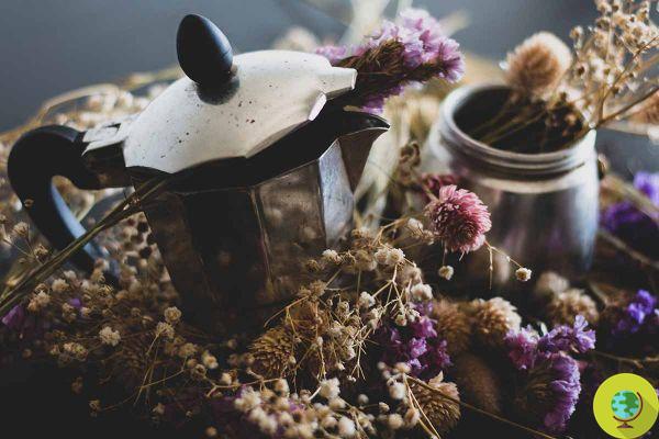 Reciclaje creativo de moca: descubre cómo reutilizar cafeteras viejas para hacer jarrones, lámparas y manualidades originales