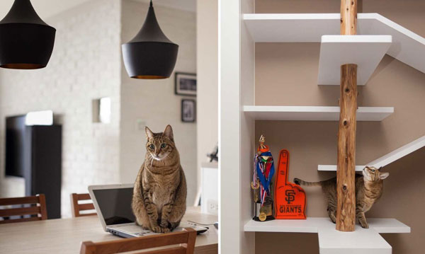 Brilliant ideas from designers to share furniture with cats (PHOTO)