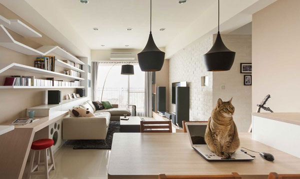 Ideias brilhantes de designers para compartilhar móveis com gatos (FOTO)