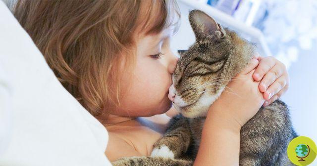 Perros y gatos: los niños que viven con mascotas tienen menos infecciones y son más sanos
