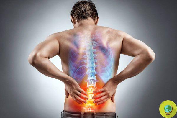 Where does your back hurt? What does the body want to tell you about the emotions you feel