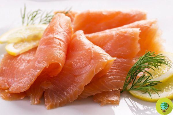 Bacteria-infested salmon withdrawn from the Ministry of Health