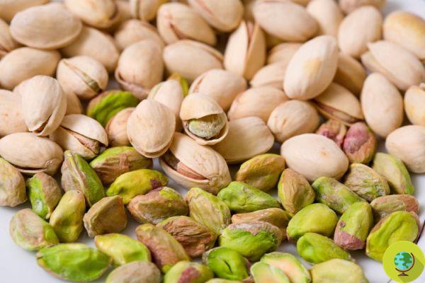 Pistachios to fight high blood pressure, stress and cholesterol