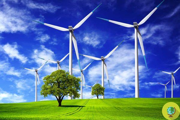 World wind day: how wind can help fight climate change