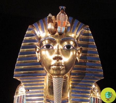 Néfertiti : pas de chambres secrètes dans la tombe de Toutankhamon