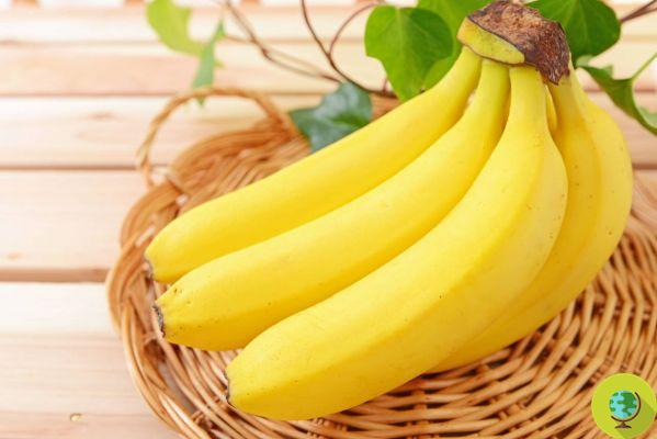 Não desista das bananas! Eliminá-los de sua dieta pode ter esses efeitos colaterais