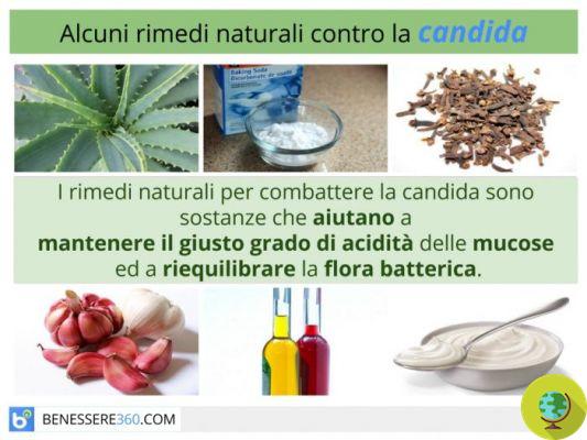 Candida: Here is the medicinal herb that can defeat it