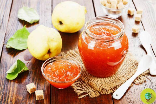 Sugar-free quince jam, a concentrate of antioxidants in your refrigerator