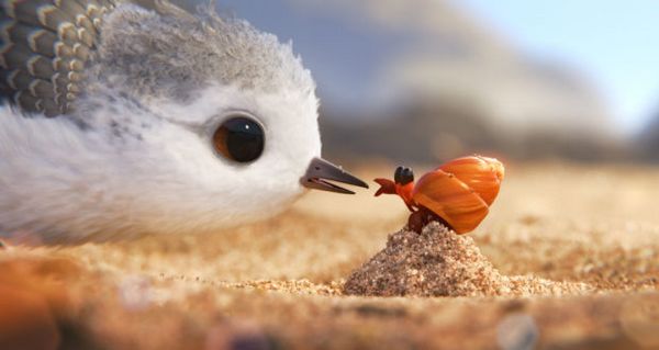 Piper, o novo curta da Pixar que nos ensina a enfrentar os medos (VÍDEO)