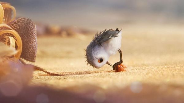 Piper, the new Pixar short that teaches us how to face fears (VIDEO)