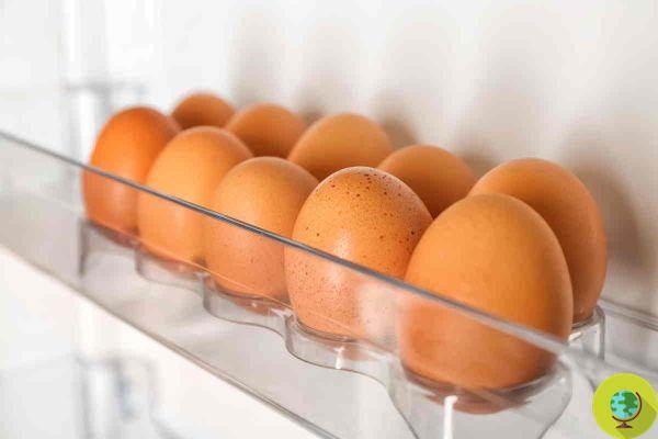Huevos en la nevera: siempre los has guardado mal