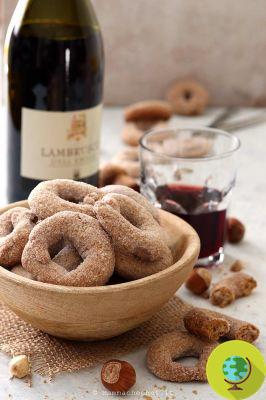 Vegan recipes: red wine and hazelnut donuts