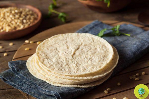 Mexican scientists create low GI barley tortilla against diabetes and obesity