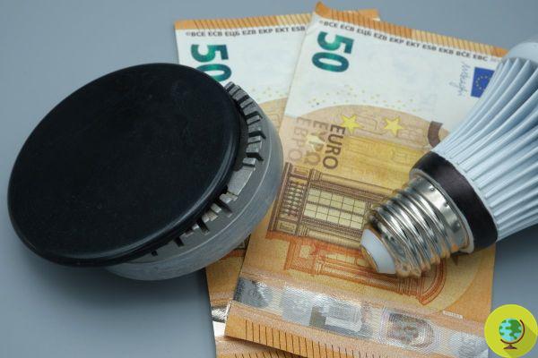 Dear bills, the one-off 200 euro bonus arrives in the Aid Decree. Who is it and how to get it
