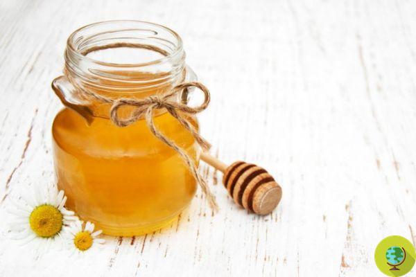 Honey: 15 alternative uses for health and beauty