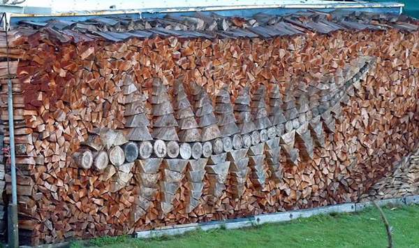 When stacking firewood becomes an art (Photos)