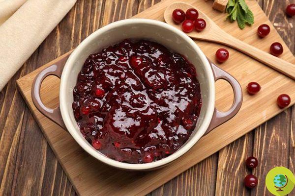 Cranberry: properties, uses and contraindications of the American cranberry