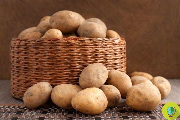 Comment conserver correctement les pommes de terre, l'ail et les oignons