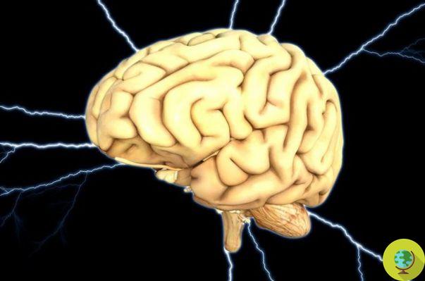 Cérebro, os neurônios são formados mesmo aos 90 anos. Novas esperanças contra Alzheimer