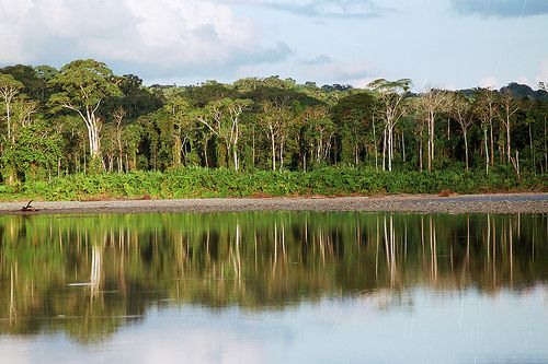 Amazonia: ese proyecto de extracción ilegal de gas en la Reserva Natural del Manu'