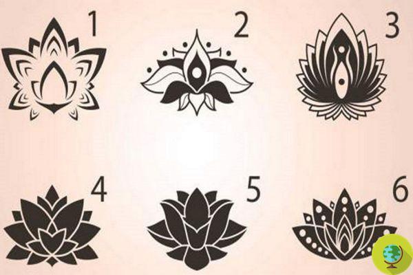 Tell me which lotus flower you choose and I will tell you what period of your life you are living