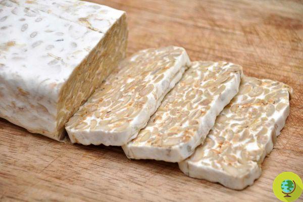 Tempeh: What exactly is it and how to cook these nutritious vegetable proteins like steak
