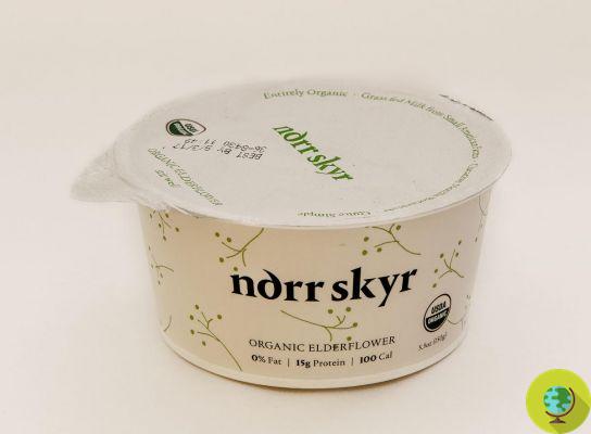 Skyr: what it is, nutritional values, benefits and the recipe for making Icelandic yogurt at home