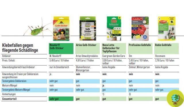 Insecticides against aphids and parasites: which are the best, not dangerous for bees and humans, according to the German test