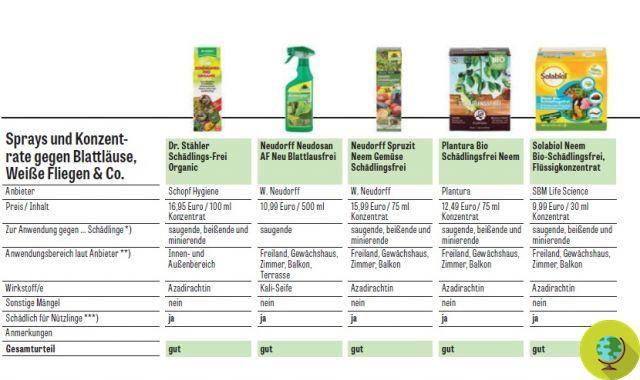 Insecticides against aphids and parasites: which are the best, not dangerous for bees and humans, according to the German test