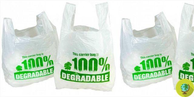 New materials: with IBM, plastic becomes “green” and biodegradable