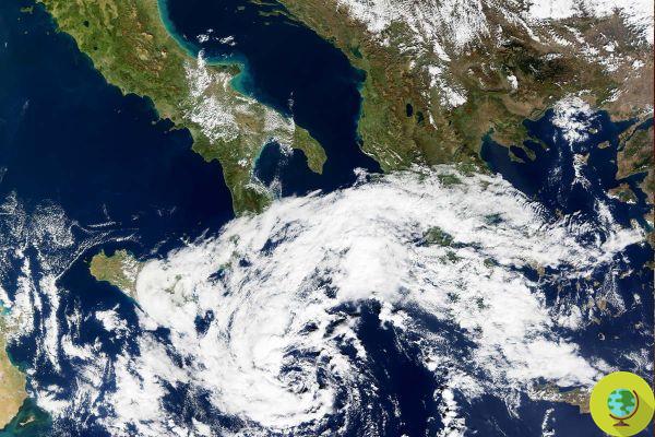 Medicane, alerte dans le Sud aux inondations et vagues jusqu'à 5 mètres de haut : l'ouragan méditerranéen arrive
